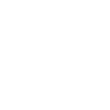 Obra Nueva